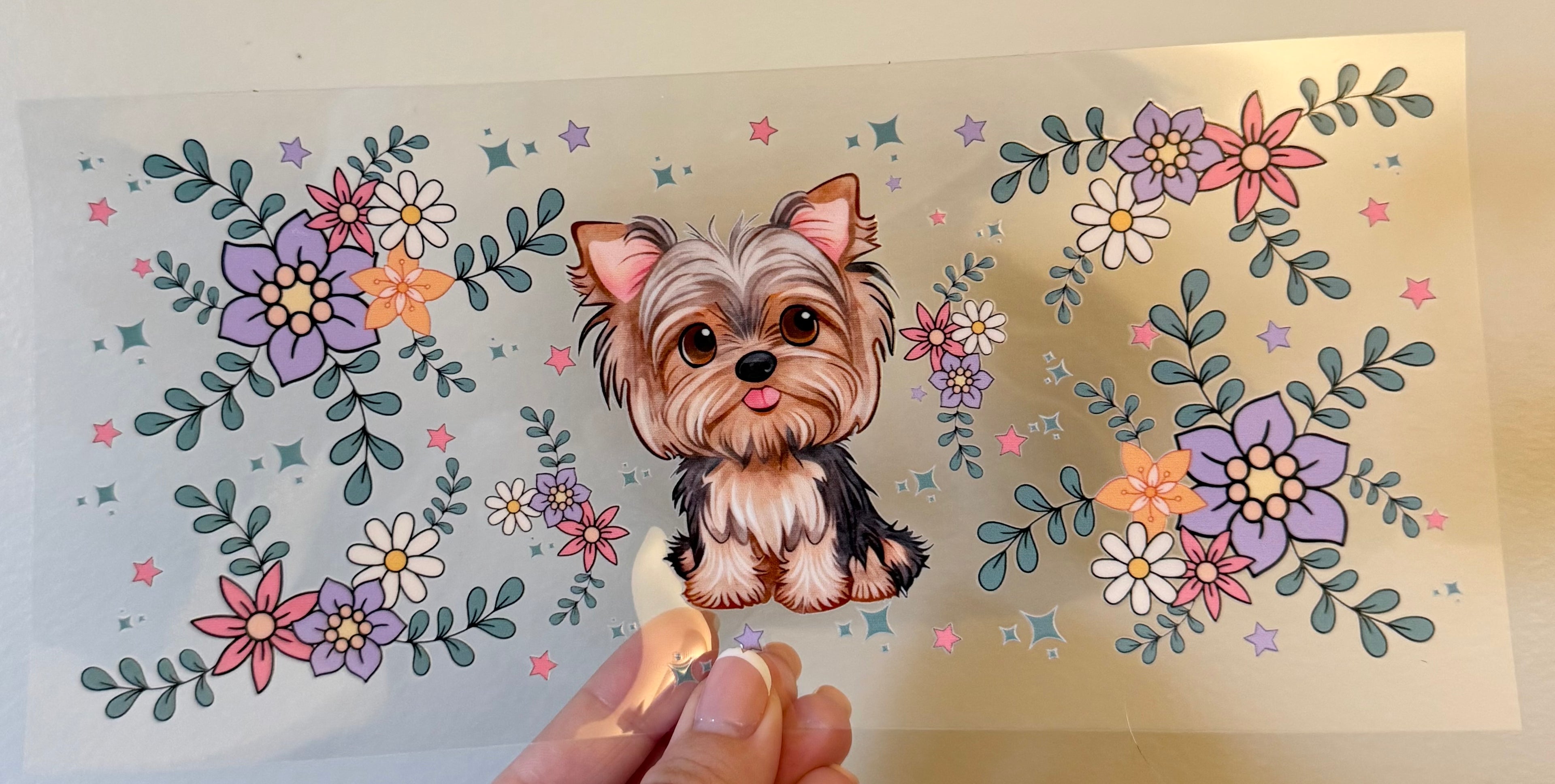 Yorkie