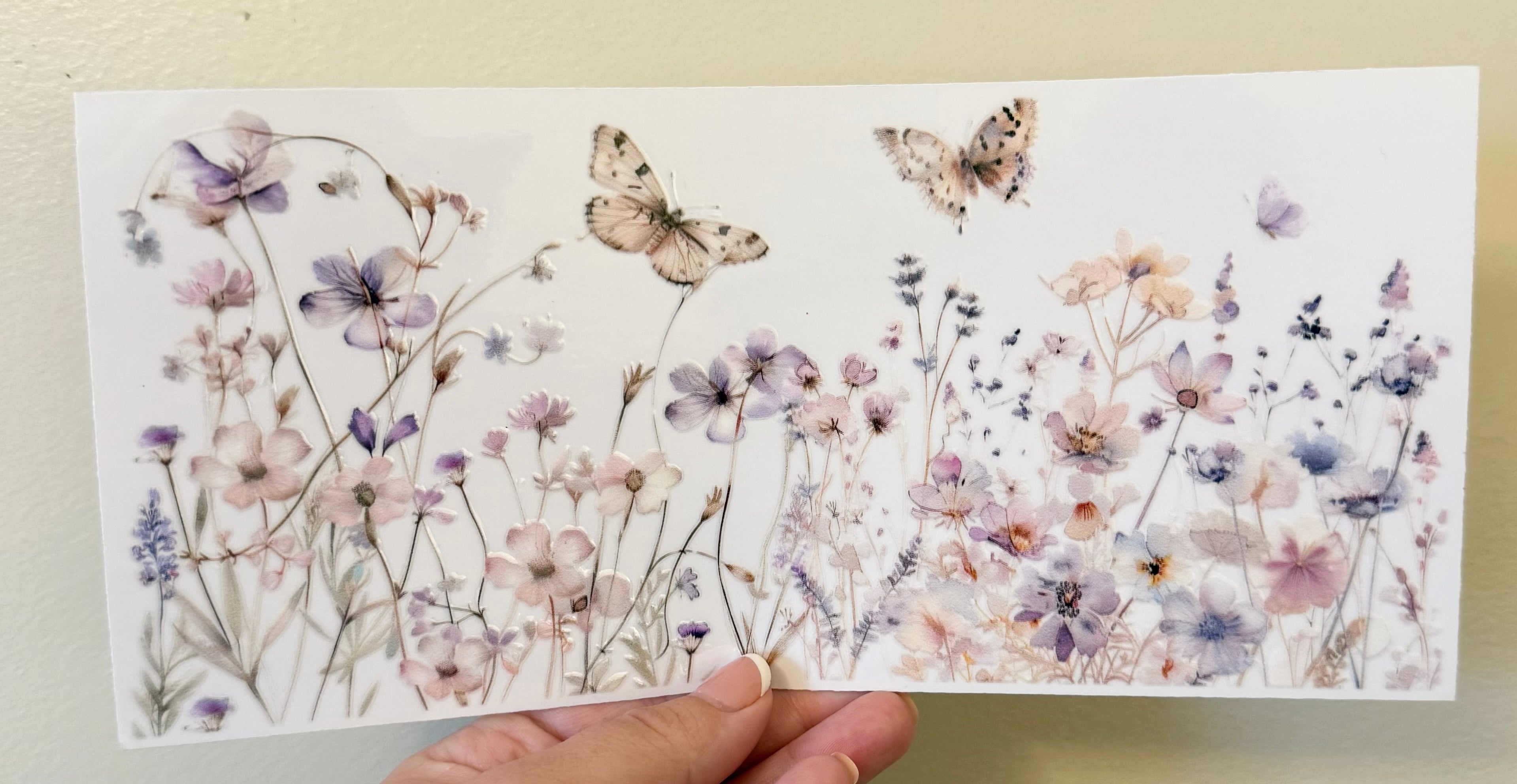 Spring Butterflies