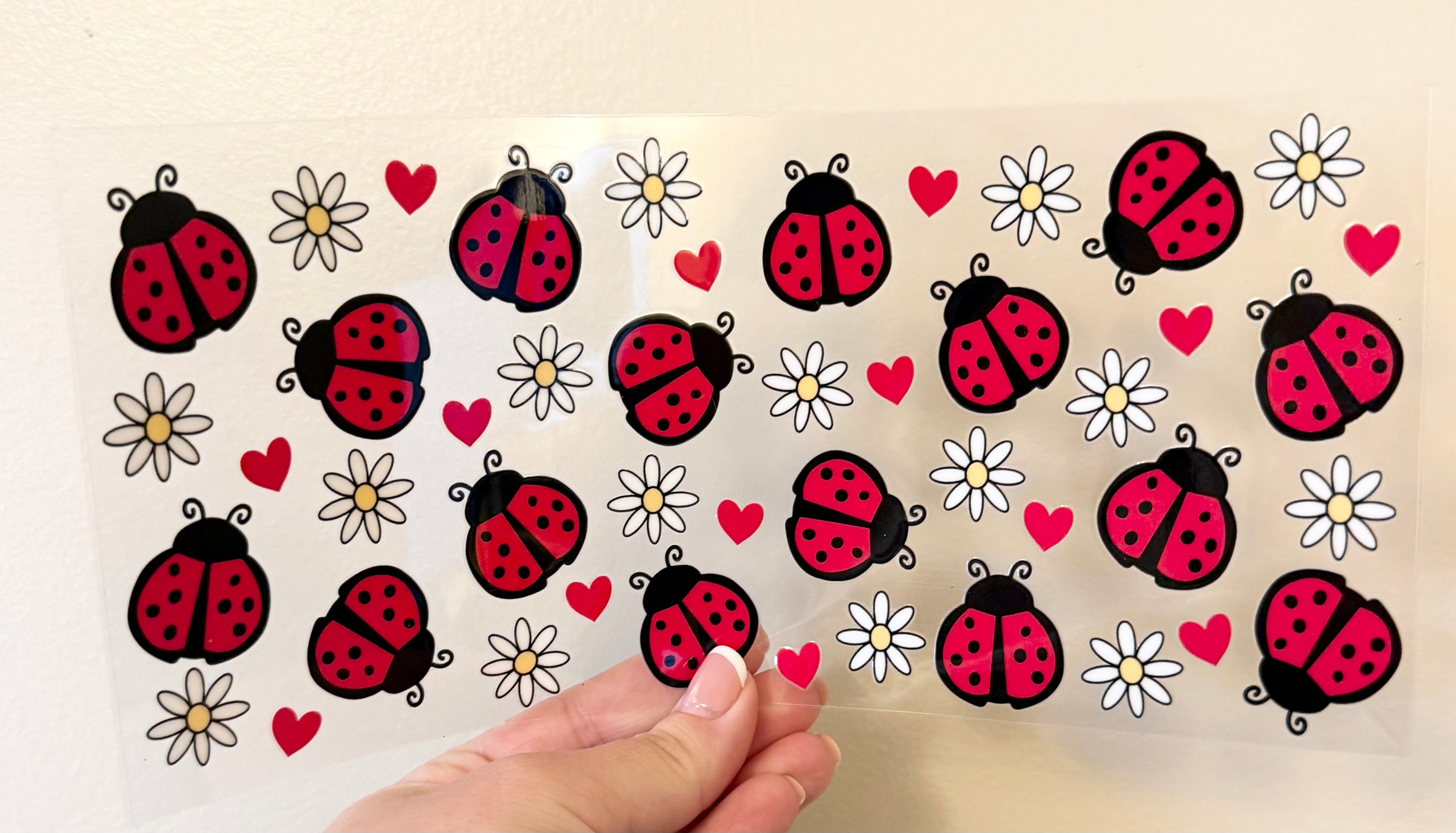 Ladybugs