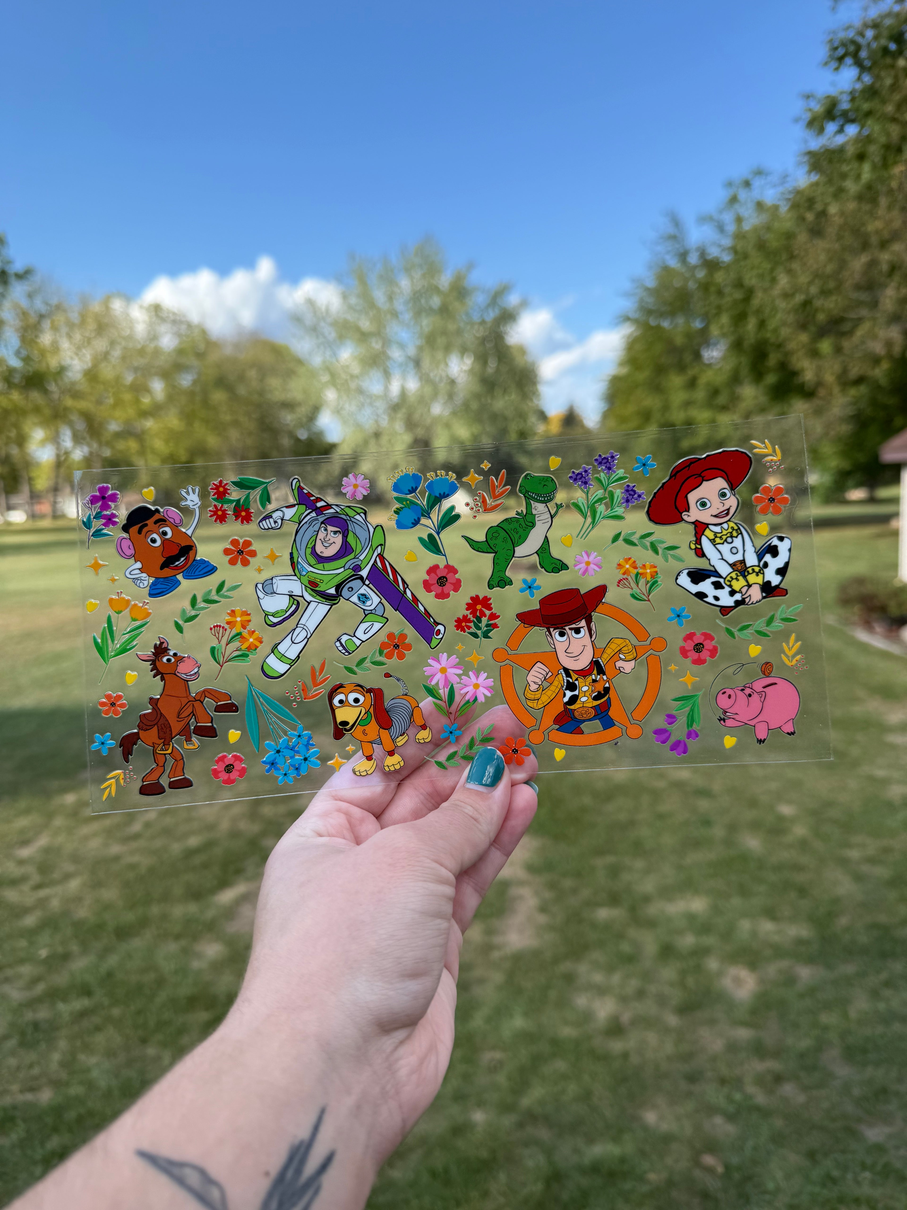 Toy Story Wrap